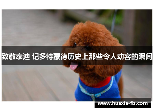 致敬泰迪 记多特蒙德历史上那些令人动容的瞬间