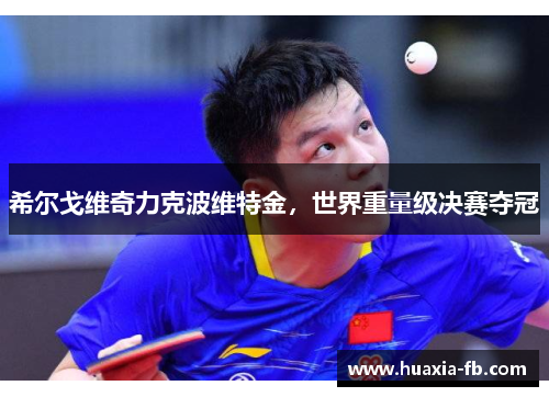 希尔戈维奇力克波维特金，世界重量级决赛夺冠