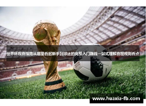 世界杯观赛指南从哪里看起新手到球迷的完整入门路线一站式理解赛程规则看点