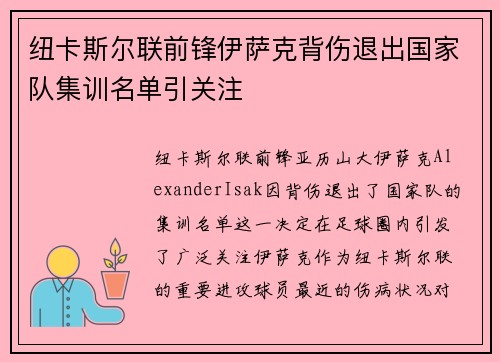 纽卡斯尔联前锋伊萨克背伤退出国家队集训名单引关注 纽卡斯尔联前锋伊萨克背伤退出国家队集训名单引关注